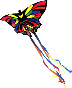prism_butterfly